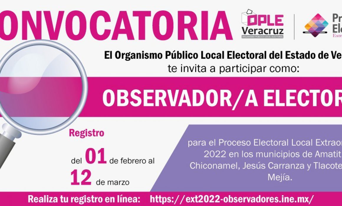 Invita Ople A Participar Como Observadores En Elecciones Extraordinarias