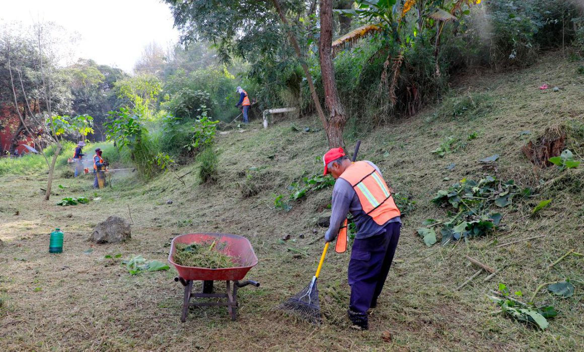 Realiza Medio Ambiente Jornada Comunitaria En Casa Blanca En Xalapa