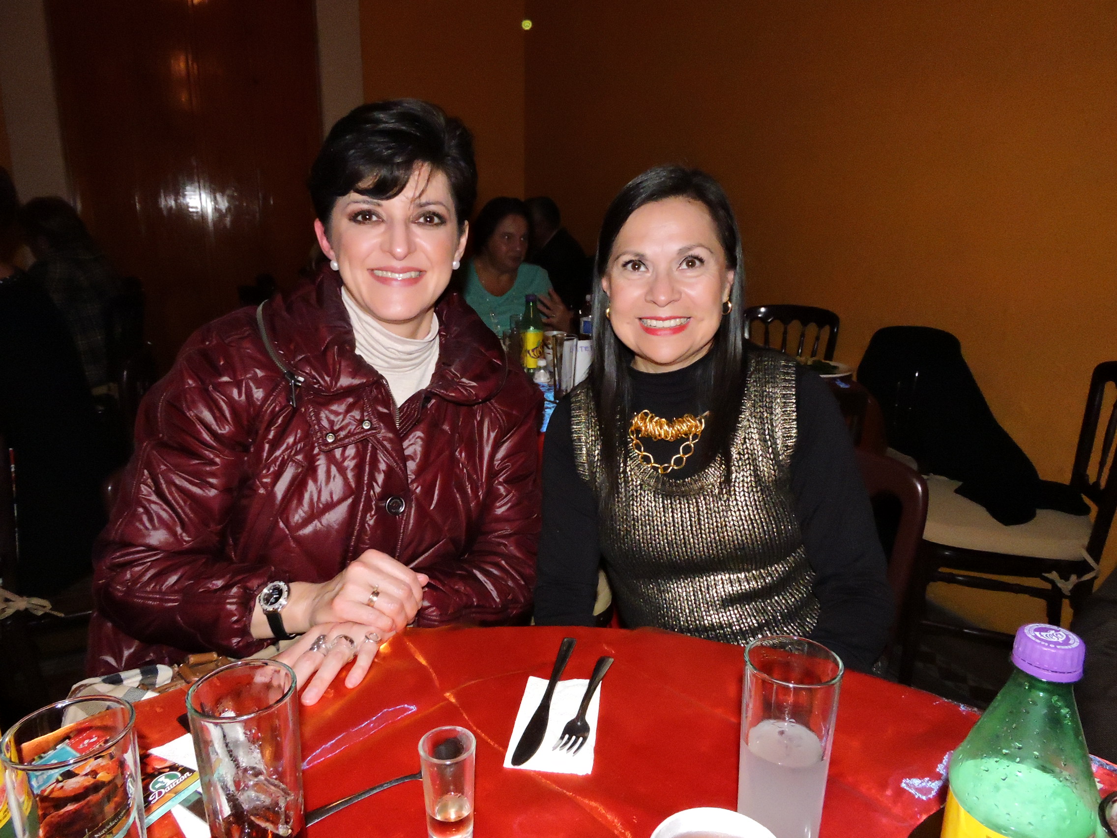 Diana Ortiz de Zamudio y Nancy Medina de Tawil