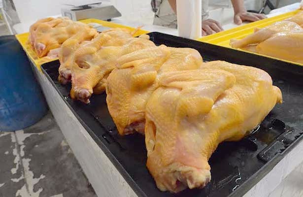 Veracruz, primer lugar nacional en producción de carne de pollo