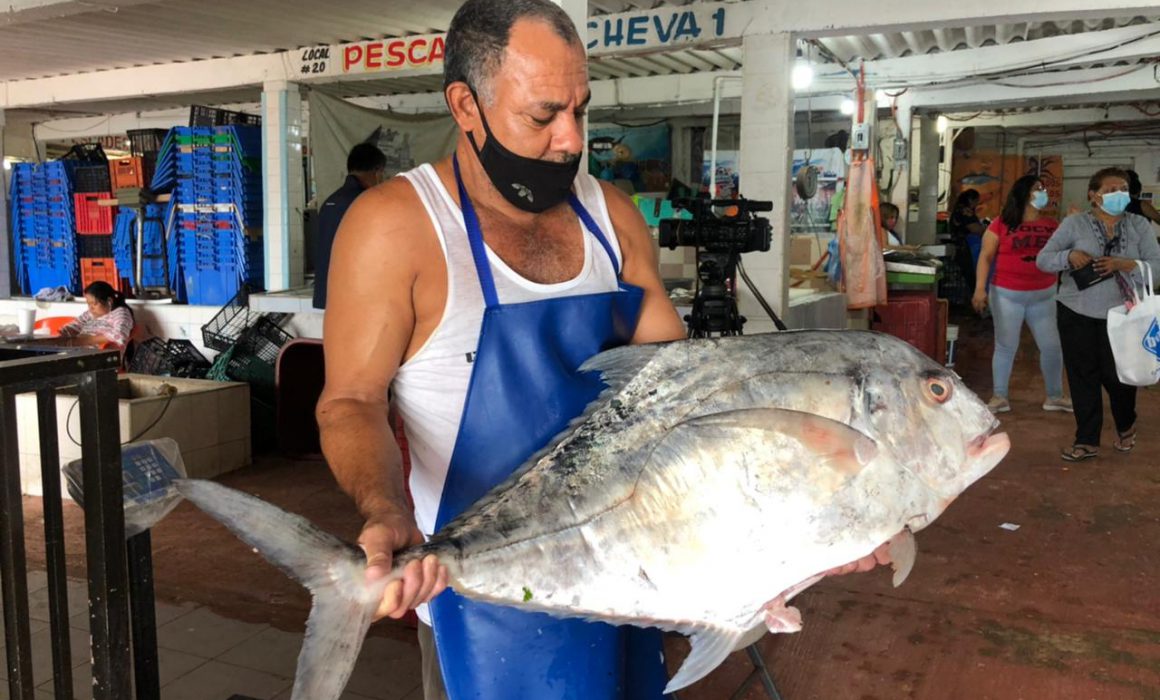 Repunta venta de pescado y mariscos en Coatzacoalcos