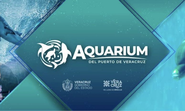 Dan a conocer nueva imagen del Aquarium de Veracruz 