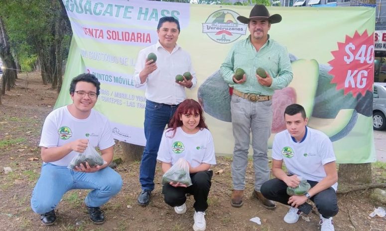 Sin intermediarios, productores de aguacate venden 900 kilos en Xalapa