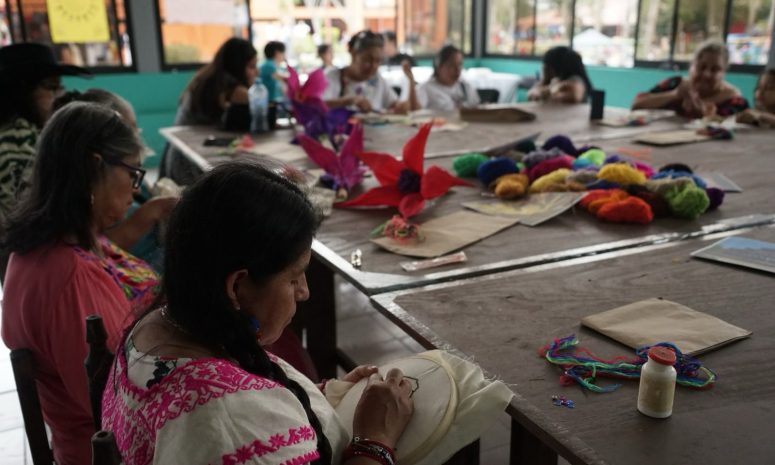 Invita Secver a talleres que ofrece Cumbre Tajín 2025