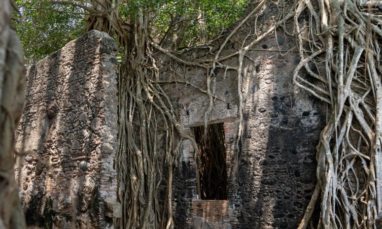 Explora La Antigua y descubre la historia de la Casa de Hernán Cortés