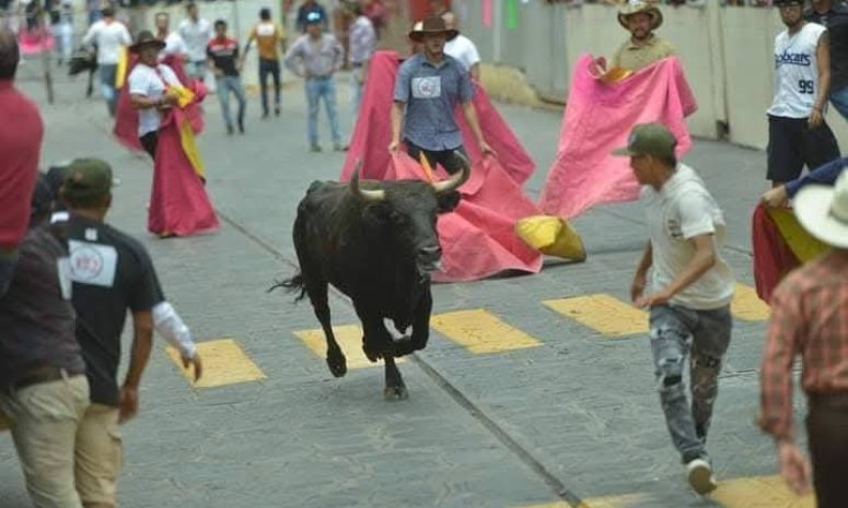 Fiestas de Xico se consolidan como las mejores de la región de Xalapa