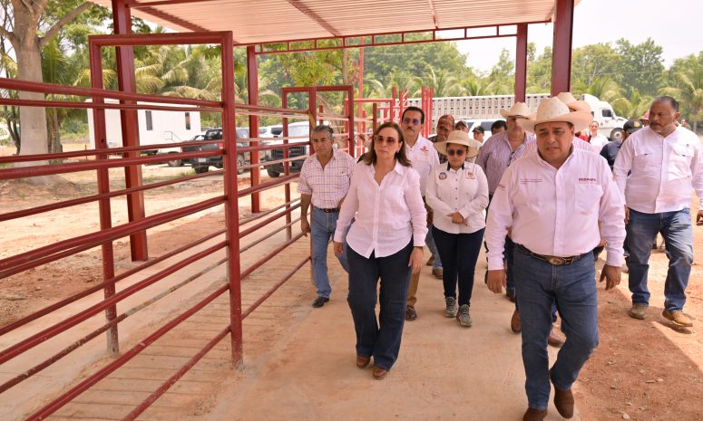 Camionetitas de sanidad animal para combate al gusano barrenador: Nahle