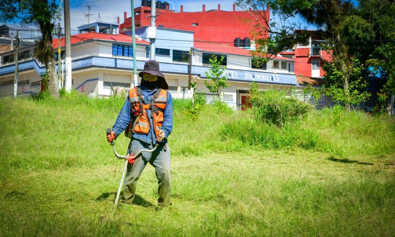 Realizan en Xalapa jornada de mantenimiento de áreas verdes
