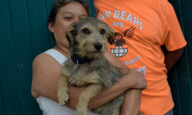 Analiza Daniela Griego hospital público para animales en Xalapa