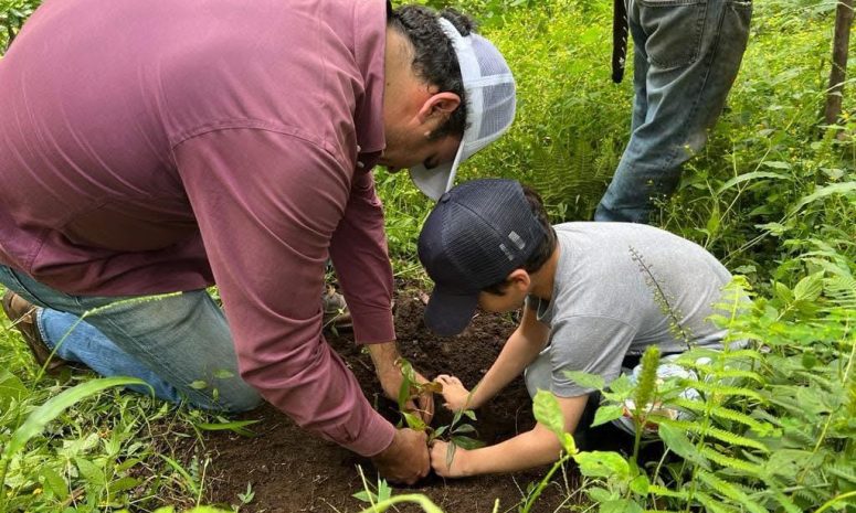 Denuncia tala ilegal en el Cofre de Perote