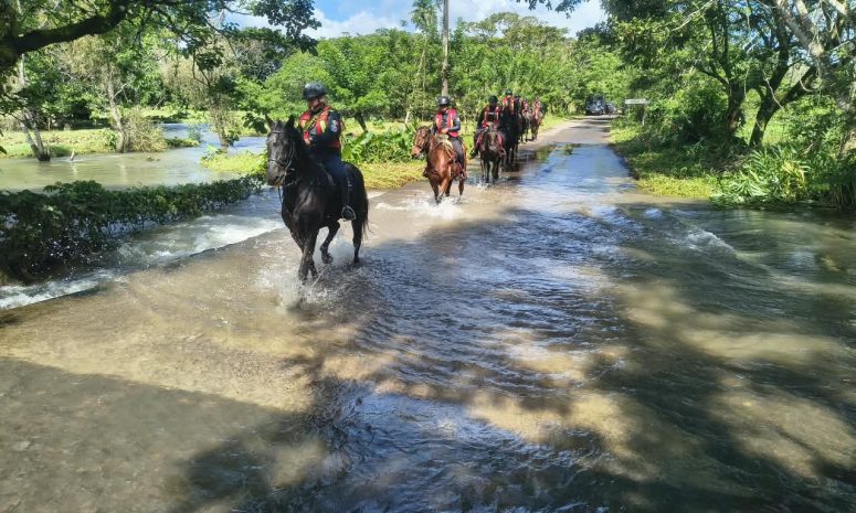 Brinda SSP asistencia a familias en el sur de Veracruz
